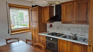 a kitchen with a sink and a stove at Villa Clelia in Auronzo di Cadore