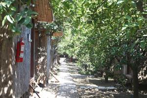 an alley with trees on the side of a building at Bayrams Tree Houses in Olympos