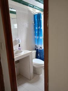 a bathroom with a toilet and a blue shower curtain at Abi Happy in Villa de Leyva