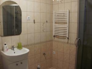 a bathroom with a sink and a shower with a mirror at Pokoje w Pucku u Ewy in Puck