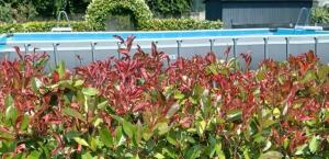 A garden outside Cuorematto