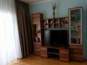 a living room with a television on a entertainment center at Apartment Sofia in Sutomore
