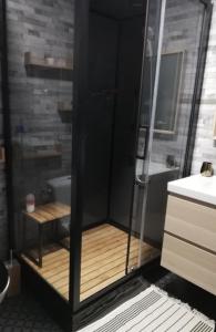 トロワにあるLE KLEBER au choix VUE SUR PARC ou RUE simplicité d'accès, charme et confort garantisのバスルーム(シャワー付)