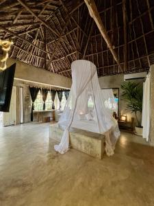瓦塔穆Rock and Sea Resort的相册照片