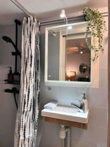 une salle de bain avec un lavabo et un rideau de douche dans l'établissement Appartement de charme 2ch centre historique, WIFI, à Montpellier 16 autres photos