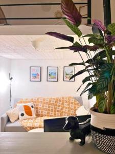 un salon avec un canapé et une plante en pot dans l'établissement Appartement de charme 2ch centre historique, WIFI, à Montpellier