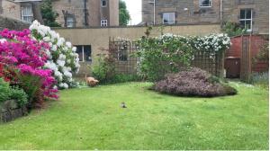 a garden with pink and white flowers and a fence at Quiet room in vibrant Bruntsfield with private parking in Edinburgh