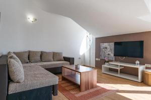 a living room with a couch and a tv at Apartments Villa Mirela in Petrcane