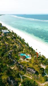 an aerial view of the beach and the ocean at Palumbo Mnemba View Resort 