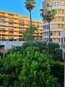 a view of a building with palm trees and bushes at Perle de la côte in Menton