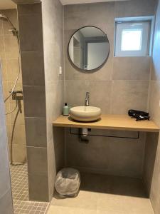 un bagno con lavandino, specchio e doccia di La maison de Julien a Bourbourg