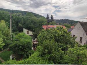 a village with trees and buildings and a mountain at Karmelita vendégház in Sopron