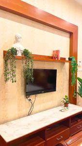 a flat screen tv on a wall with plants at Ả home - Hồ tây, phòng lớn, ban công in Hanoi