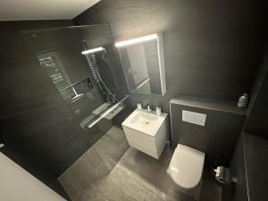 Koupelna v ubytování V.I.P Appartement