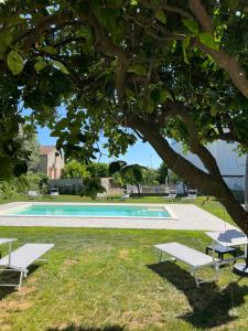 a swimming pool with two white benches under a tree at Habitat Luxury Suites in Bellona