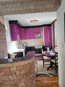 Kuchyň nebo kuchyňský kout v ubytování Apartman DB + 12 fotografií