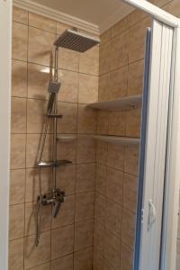 a shower with a shower head in a bathroom at Zöld vendégház in Békésszentandrás +19 photos