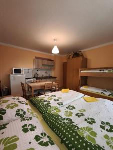 Eldhús eða eldhúskrókur á Apartmány Na vyhlídce