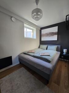 une chambre avec un lit et une télévision dans l'établissement BRUNØST APARTMENT modern apartment close to city center with free parking, à Tromsø