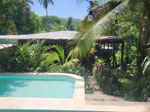 a swimming pool in front of a house with a palm tree at Hammock plantation in El Zonte