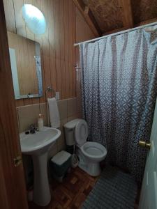 a bathroom with a sink and a toilet and a shower at Cabaña El Ulmo in Puerto Rico