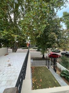 サンタ・ロサ・デ・カラムチタにあるTierra Madreの木と車道のある黒いフェンス +46枚の写真