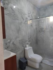 a bathroom with a toilet and a shower and a sink at Hermosa Casa en Juana Vicenta Samana in Santa Bárbara de Samaná
