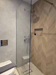 a shower with a glass door in a bathroom at Hotel Alexandra in Skala