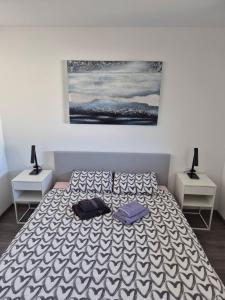 een slaapkamer met een bed met 2 tafels en een schilderij bij Mars E-4 in Pula