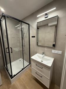 a bathroom with a shower and a sink and a mirror at Apartament Sanok in Sanok