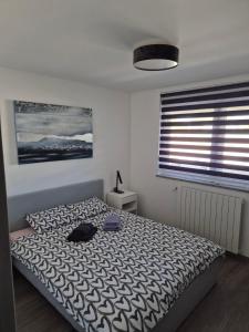 een slaapkamer met een bed, een lamp en een raam bij Mars E-4 in Pula +13 foto's