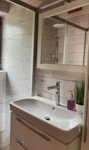 a bathroom with a sink and a mirror at Roubenka u dědy in Humpolec +12 photos