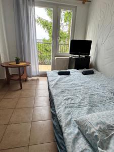 a bedroom with a bed and a television and a table at Pensjonat Lemon in Pobierowo