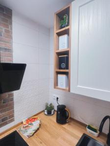 a kitchen counter with a sink and a shelf with plants at Belo Horizonte Guest House in A Guarda