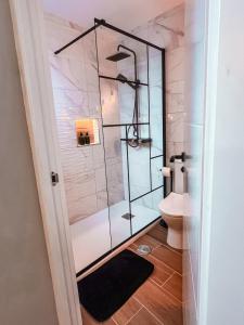 a bathroom with a glass shower with a toilet at Belo Horizonte Guest House in A Guarda +27 photos