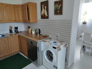 a kitchen with a washing machine and a sink at Agroturystyka Puchatek in Rebiszów