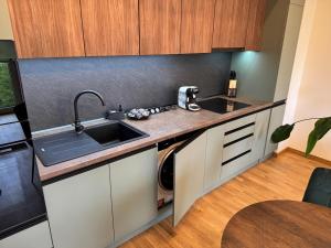 Η κουζίνα ή μικρή κουζίνα στο Apartmán Strakosch