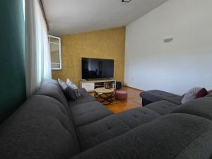 Μια τηλεόραση ή/και κέντρο ψυχαγωγίας στο Kuća za odmor Rajčić