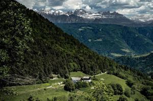 Príroda v okolí farmy