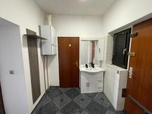 Kuchyň nebo kuchyňský kout v ubytování Central apartment in Vienna
