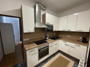 Kuchyň nebo kuchyňský kout v ubytování Central apartment in Vienna