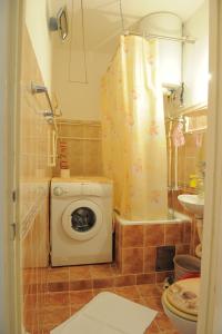 y baño con lavadora y ducha. en Apartment Daca Stan, en Belgrado
