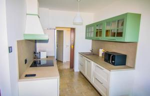 Kuchnia z zielonymi szafkami i kuchenką mikrofalową w obiekcie Apartment Vincent with beautiful sea view terrace w mieście Klenovica