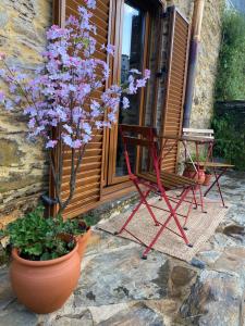 eine Veranda mit einem Stuhl, lila Blumen und einer Pflanze in der Unterkunft PampiHouse, casa de xisto junto ao rio in Pampilhosa da Serra