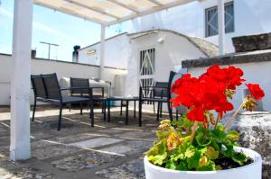 una pianta in vaso con fiori rossi su un patio di Dimora Nuccio a Martina Franca