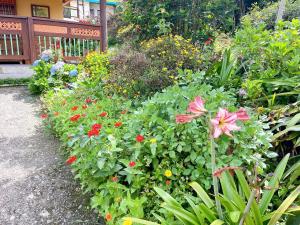 Garður fyrir utan Blomst Casa Hostal