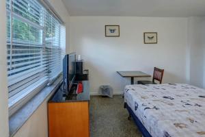 TV a/nebo společenská místnost v ubytování Richard's Pet Friendly Motel