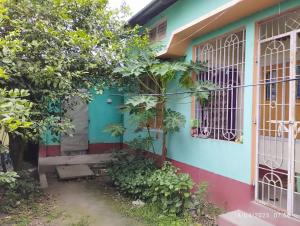 Κήπος έξω από το Bora Rent House