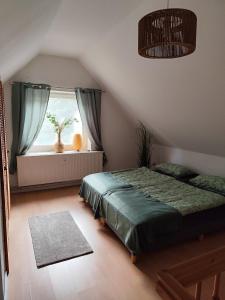 ein Schlafzimmer mit einem Bett und einem Fenster in der Unterkunft Ferienwohnungen Auetal in Kucksdorf