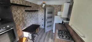 a small kitchen with a stove and a counter at Pernavas street in Rīga +3 photos